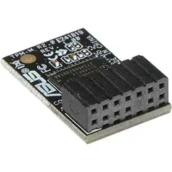 ASUS-TPM-M R2.0 (BULK)