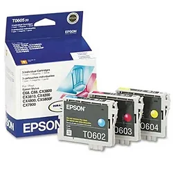 EPSON-T060520