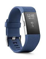 Fitbit-FB407SBUS