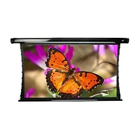 Elite Screens-TE100VG2