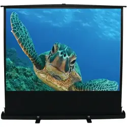 Elite Screens-F80NWH