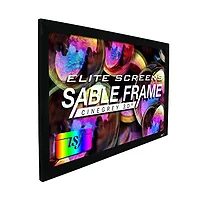 Elite Screens-ER110DHD3
