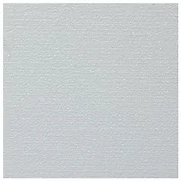 Elite Screens-ZR135WH-M