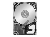 SEAGATE ST9300603SS