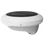 Raymarine E70096