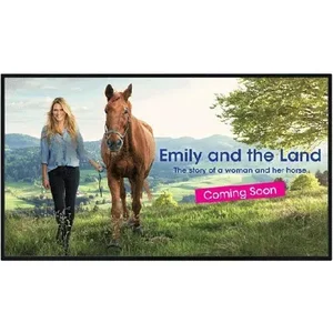 Sharp Nec PN-UH431 - 43IN 4K DISPLAY