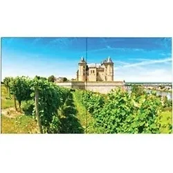 SHARP NEC-UN492S-TMX4P