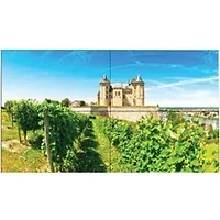 SHARP NEC-UN492VS-TMX4P