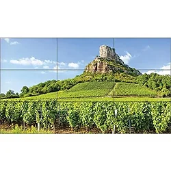 SHARP NEC-UN492VS-TMX9P