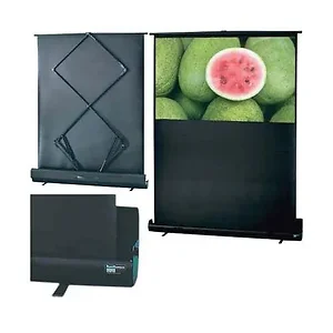 Draper 230005 - 55-inch RoadWarrior Portable Projector Screen - 16:9 Format