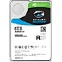 SEAGATE-ST6000VE001