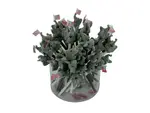 Bulk Buys JJ872