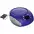 SRCD261-B-PURPLE