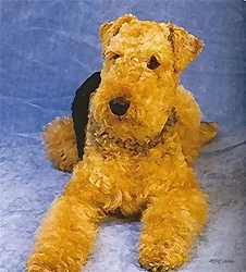 STEELMASTER-201916003