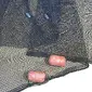 Frabill-2156