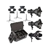 Hive Lighting-HIVE-C-2H1WKIT