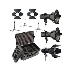 Hive Lighting-HIVE-C-2H1WKIT