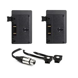 Hive Lighting-HIVE-HLS2C-DBPK-GM