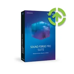 MAGIX SOFTWARE-MGX-ANR008259ESD-U1