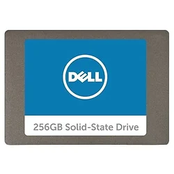 DELL-SNP110S/256G