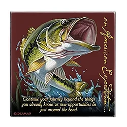 American Expedition-CTSQ-111