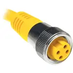Maretron CW31829