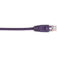 BLACK BOX CORPORATION-CAT5EPC-025-VT