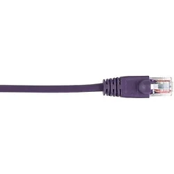 BLACK BOX CORPORATION-CAT5EPC-025-VT