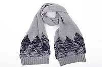 ENET-C19C20-PLBL-20A-1.5F-ENC