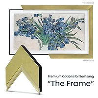 FRAME MY TV-FRM-SF-D4011-49