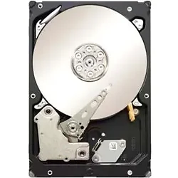 SEAGATE-ST1000NM0001