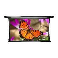 Elite Screens-TE96C-E24