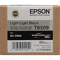 EPSON-t850900