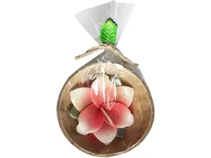 Bulk Buys HP197 - Assorted Color Small Coconut Shell Candles