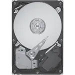 SEAGATE ST9300605SS