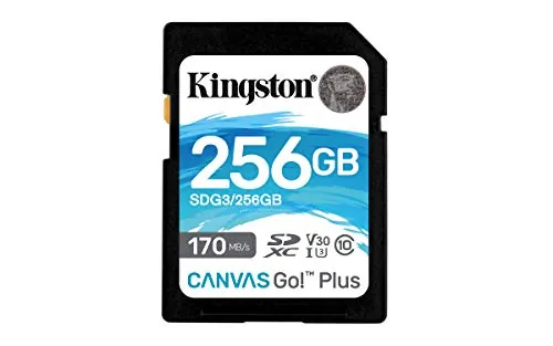 KINGSTON-SDG3256GB