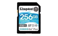 KINGSTON-SDG3/256GB