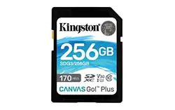 KINGSTON-SDG3/256GB