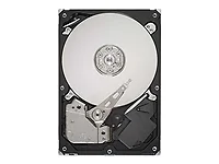 SEAGATE-ST3250318AS