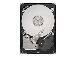 SEAGATE-ST3250318AS