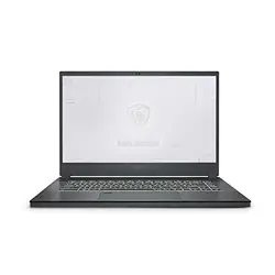 MSI-WS66079