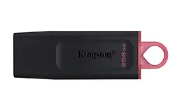 KINGSTON-DTX/256GB