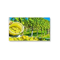 SHARP NEC-X464UNV-2/OB1