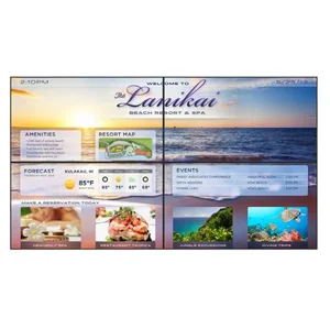 Planar 997-7233-00 - PS5580 55" FHD 8ms LED LCD Monitor - Black