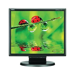 SHARP NEC-LCD175M-BK