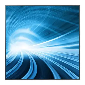 Samsung UD22B - 21.6" Professional LED LCD Monitor - UD22B