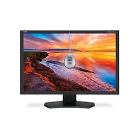 SHARP NEC-PA241W-BK-SV