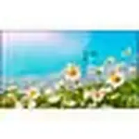 SHARP NEC-UN462A-R