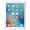 IPAD-PRO-256GB-RGLD-PB-RCU