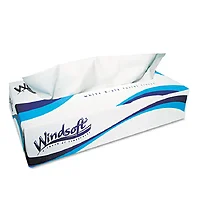 WINDSOFT-WIN2360